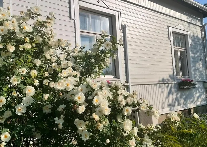 Viinikan Tähti
